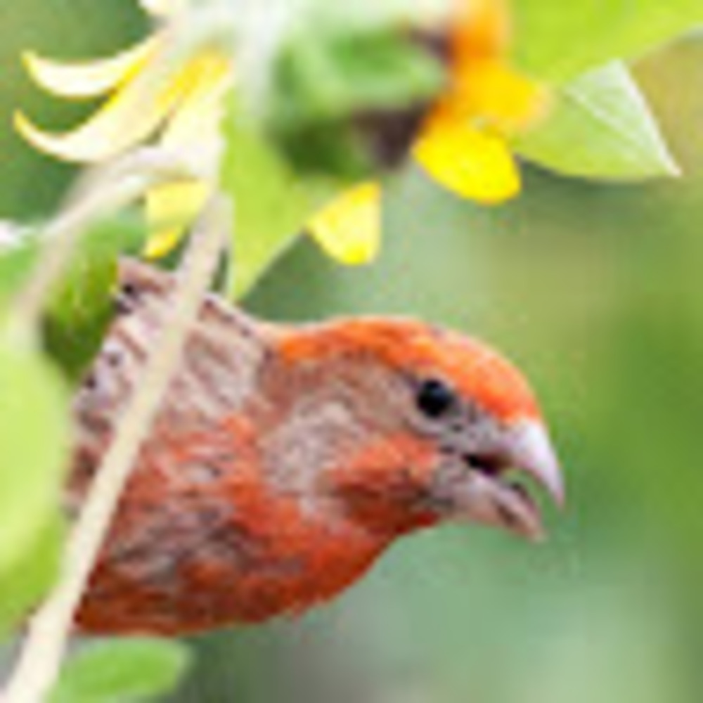 Meet your Posher, Jill